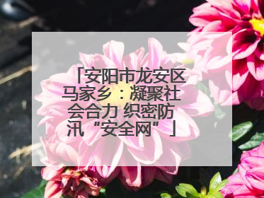 安阳市龙安区马家乡：凝聚社会合力 织密防汛“安全网”