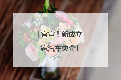 官宣！新成立一家汽车央企