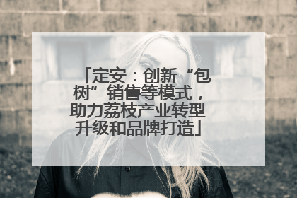 定安：创新“包树”销售等模式，助力荔枝产业转型升级和品牌打造