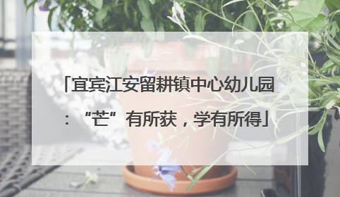 宜宾江安留耕镇中心幼儿园：“芒”有所获，学有所得