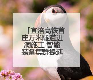 宜涪高铁首座万米隧道进洞施工 智能装备集群提速4倍