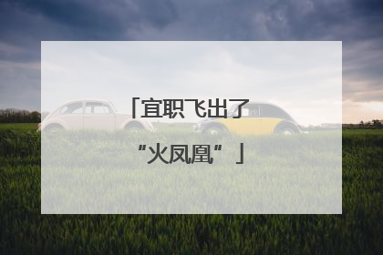 宜职飞出了“火凤凰”