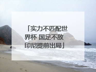 实力不匹配世界杯 国足不敌印尼提前出局
