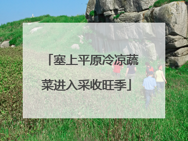 塞上平原冷凉蔬菜进入采收旺季