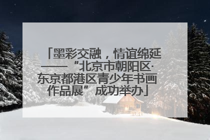 墨彩交融，情谊绵延——“北京市朝阳区·东京都港区青少年书画作品展”成功举办