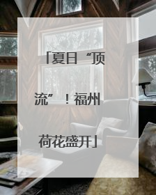 夏日“顶流”！福州荷花盛开