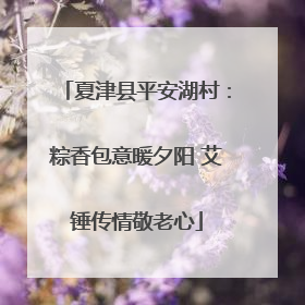 夏津县平安湖村：粽香包意暖夕阳 艾锤传情敬老心