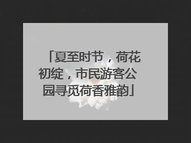 夏至时节，荷花初绽，市民游客公园寻觅荷香雅韵