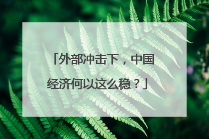 外部冲击下，中国经济何以这么稳？