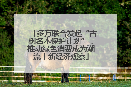 多方联合发起“古树名木保护计划”，推动绿色消费成为潮流丨新经济观察