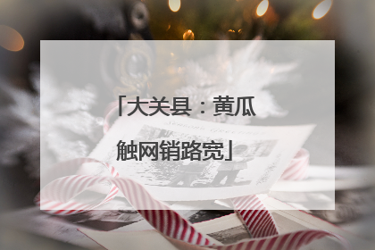 大关县：黄瓜触网销路宽