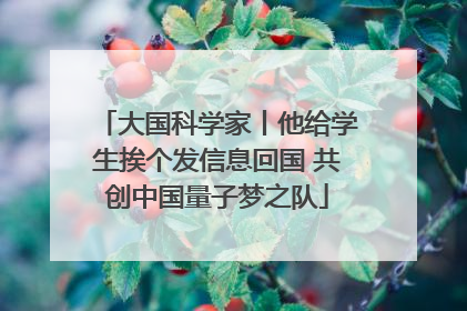 大国科学家丨他给学生挨个发信息回国 共创中国量子梦之队