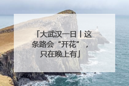 大武汉一日丨这条路会“开花”，只在晚上有