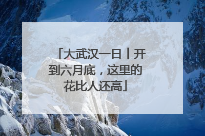 大武汉一日︱开到六月底，这里的花比人还高