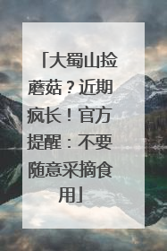 大蜀山捡蘑菇？近期疯长！官方提醒：不要随意采摘食用