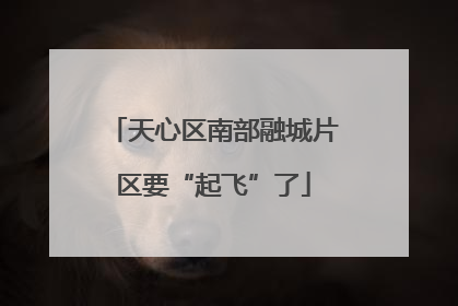 天心区南部融城片区要“起飞”了