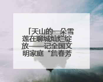 天山的一朵雪莲在聊城灿烂绽放——记全国文明家庭“詹春芳家庭”