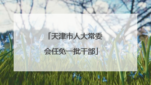 天津市人大常委会任免一批干部