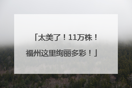 太美了！11万株！福州这里绚丽多彩！