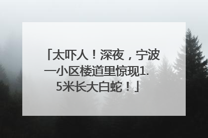 太吓人！深夜，宁波一小区楼道里惊现1.5米长大白蛇！