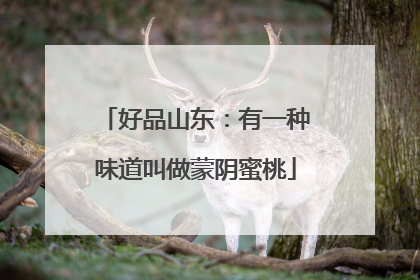 好品山东：有一种味道叫做蒙阴蜜桃