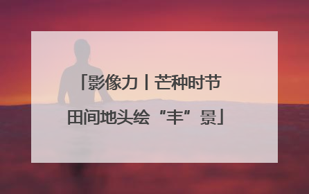 影像力丨芒种时节 田间地头绘“丰”景