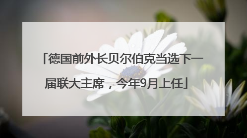 德国前外长贝尔伯克当选下一届联大主席，今年9月上任