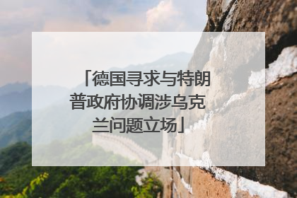德国寻求与特朗普政府协调涉乌克兰问题立场