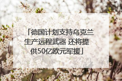 德国计划支持乌克兰生产远程武器 还将提供50亿欧元军援