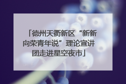 德州天衢新区“新新向荣青年说”理论宣讲团走进星空夜市