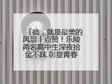 德，就是最美的风景丨点赞！乐陵两名高中生深夜拾金不昧 彰显青春正能量