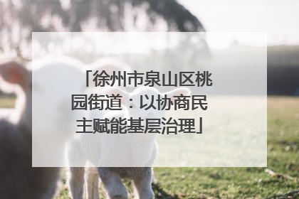 徐州市泉山区桃园街道：以协商民主赋能基层治理