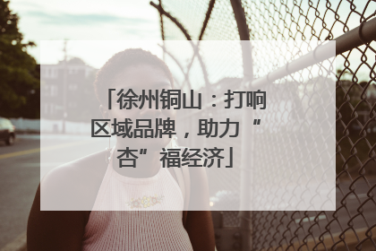 徐州铜山：打响区域品牌，助力“杏”福经济