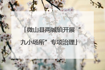 微山县两城镇开展“九小场所”专项治理