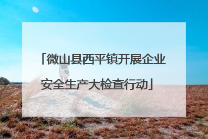 微山县西平镇开展企业安全生产大检查行动