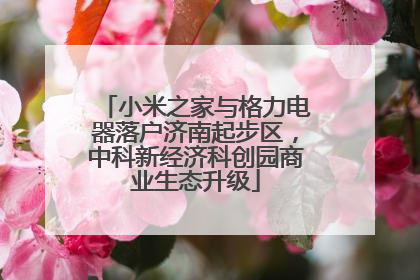 小米之家与格力电器落户济南起步区，中科新经济科创园商业生态升级