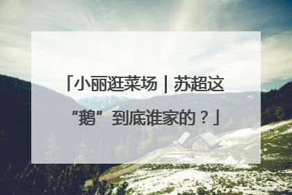 小丽逛菜场｜苏超这“鹅”到底谁家的？