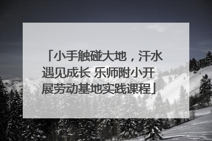 小手触碰大地，汗水遇见成长 乐师附小开展劳动基地实践课程