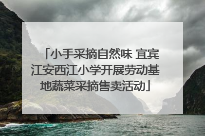 小手采摘自然味 宜宾江安西江小学开展劳动基地蔬菜采摘售卖活动