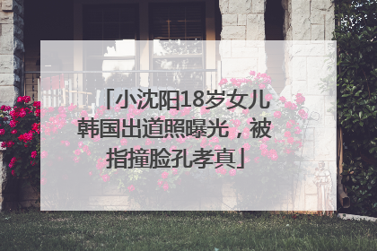 小沈阳18岁女儿韩国出道照曝光，被指撞脸孔孝真