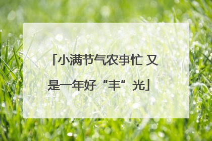 小满节气农事忙 又是一年好“丰”光