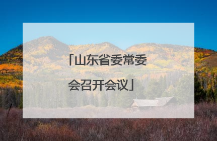 山东省委常委会召开会议
