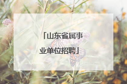 山东省属事业单位招聘