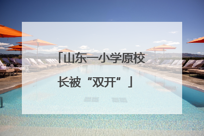 山东一小学原校长被“双开”