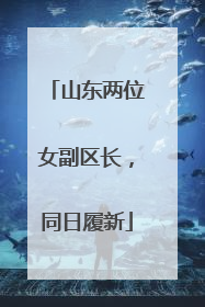 山东两位女副区长，同日履新