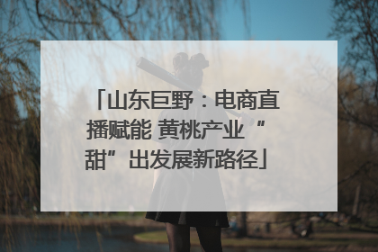 山东巨野：电商直播赋能 黄桃产业“甜”出发展新路径