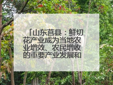 山东莒县：鲜切花产业成为当地农业增效、农民增收的重要产业发展和特色品牌