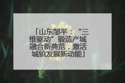 山东邹平：“三维驱动”锻造产城融合新典范，激活城镇发展新动能
