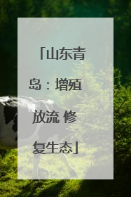 山东青岛：增殖放流 修复生态