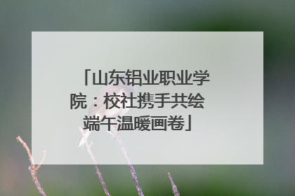 山东铝业职业学院：校社携手共绘端午温暖画卷